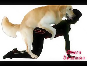 Explorez les limites de la bestialité avec Fucka dans une rencontre choquante mais excitante avec un chien.